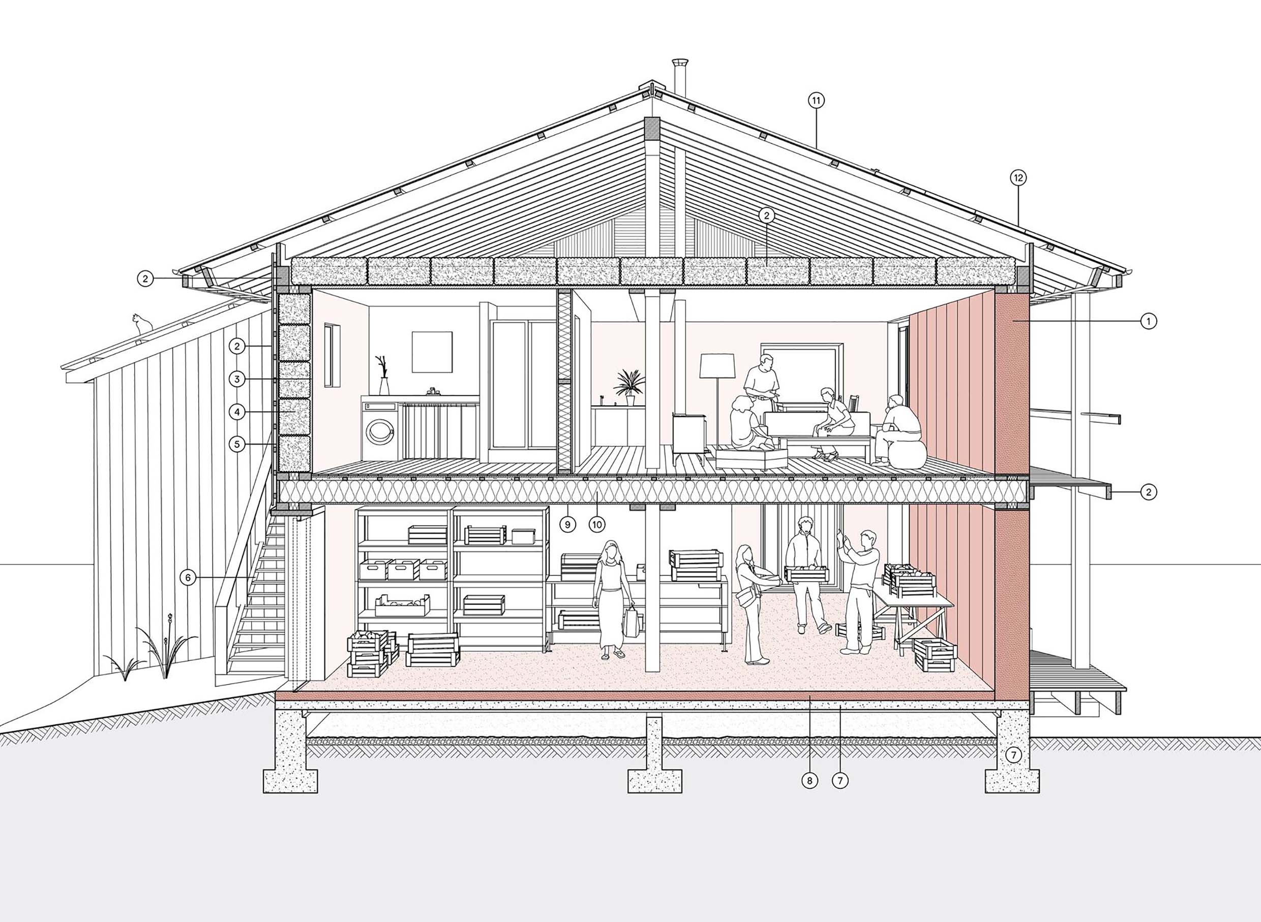 Anatomie d'architecture