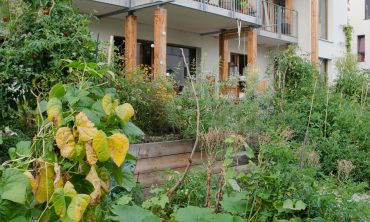 L’habitat participatif : les ressources en commun !