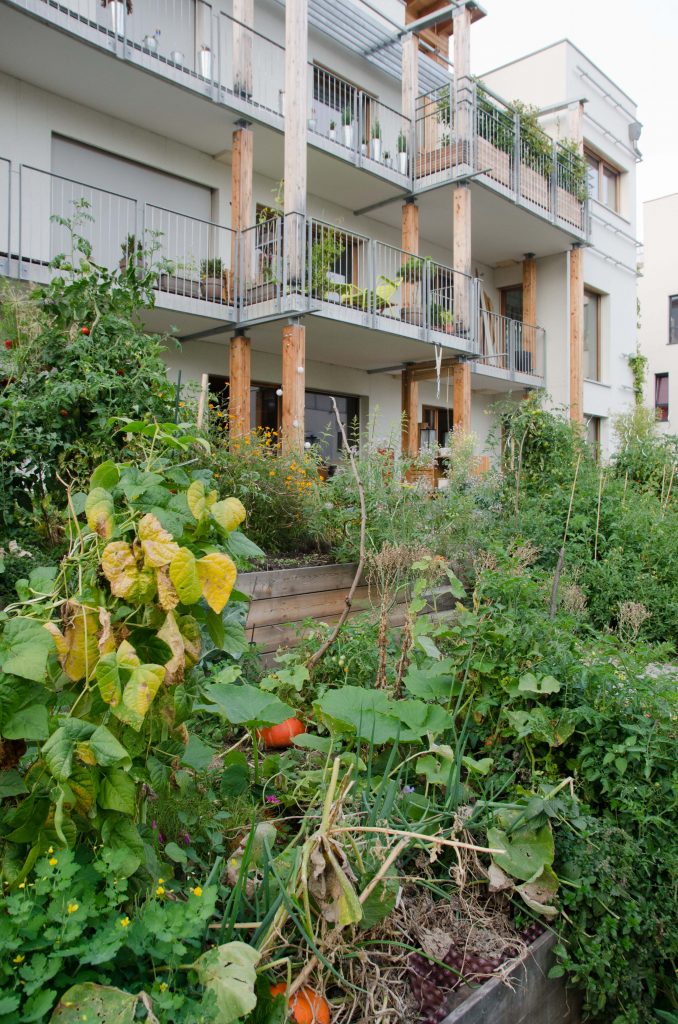 L’habitat participatif : les ressources en commun !