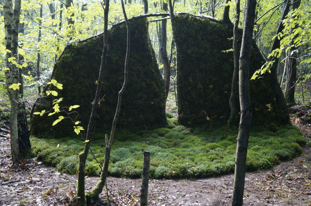 13e séminaire Land Art en forêt de Brumath