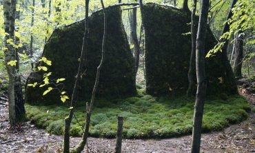13. Land-Art-Seminar im Wald bei Brumath