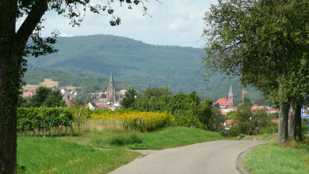 Sortie vélo transfrontalière : découverte du vignoble de part et d’autre de la frontière avec le sud-Palatinat