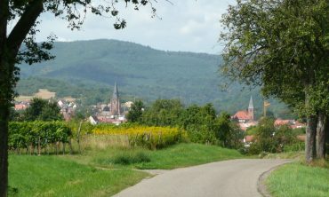 Grenzüberschreitende Fahrradtour: Erkundung der Weinberge beiderseits der Grenze zur Südpfalz