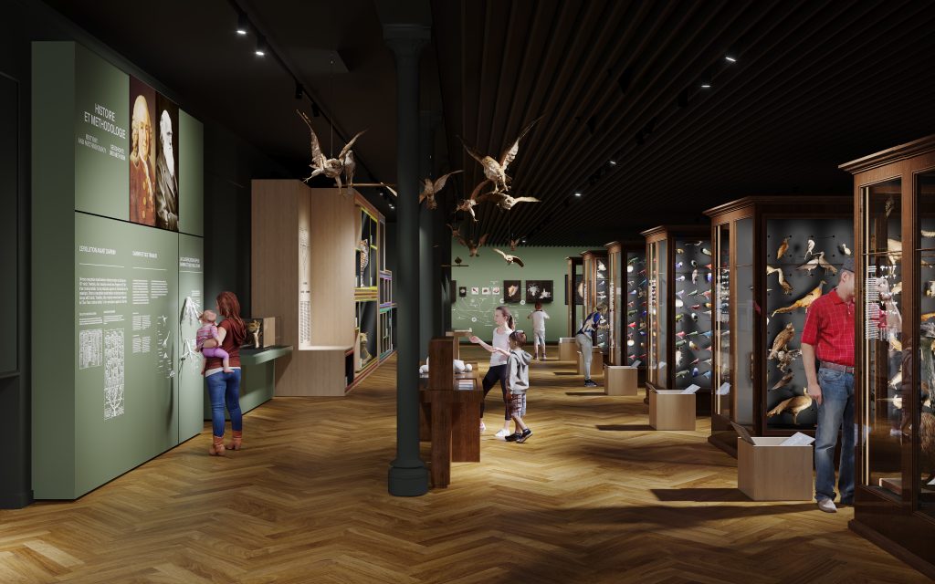 Réinventer le Musée zoologique