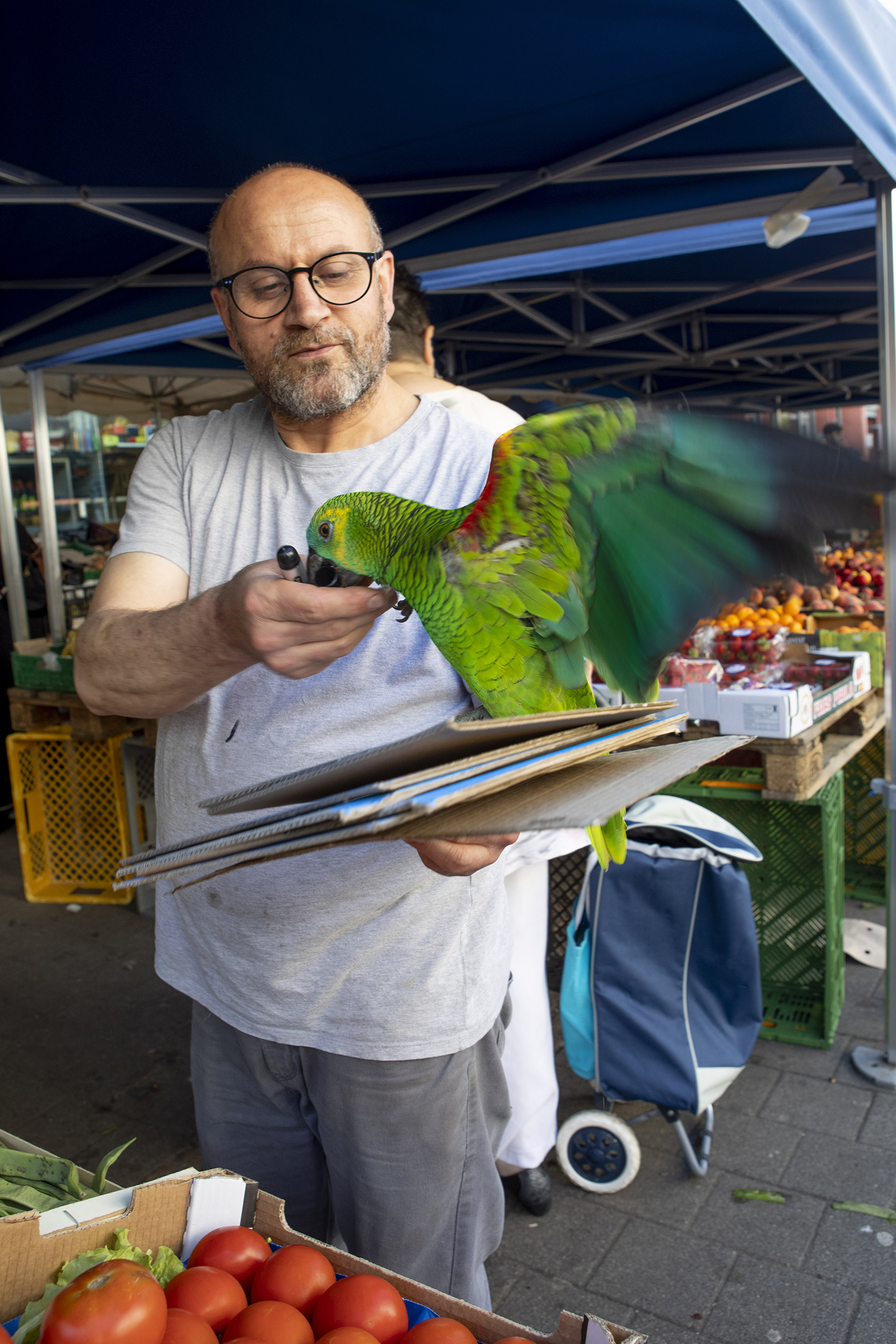 Streetalbum de l'Elsau - Épicerie Rue Watteau_©PaolaGuigou