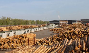 « Ressources humaines » : découverte des métiers du bois