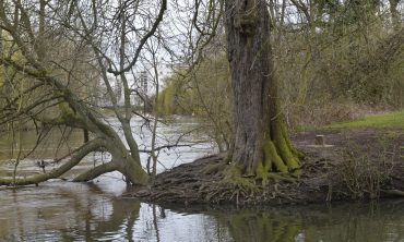 Erkundung der Wasserläufe in der Straßburger Agglomeration