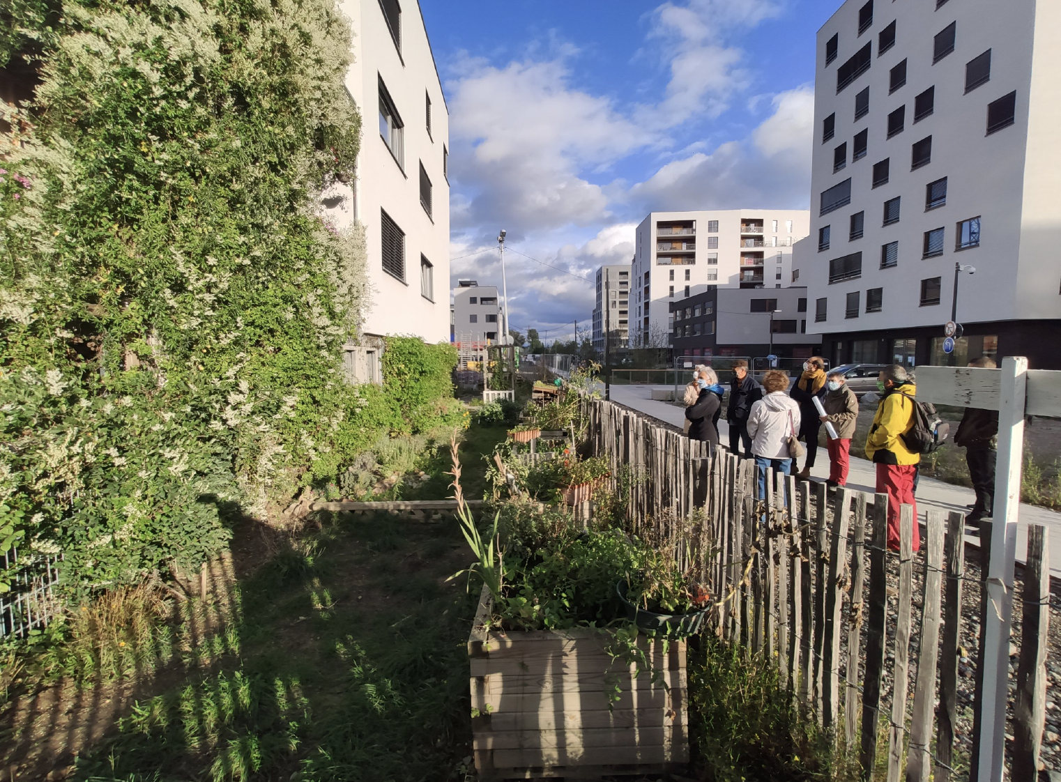 Visite Visite