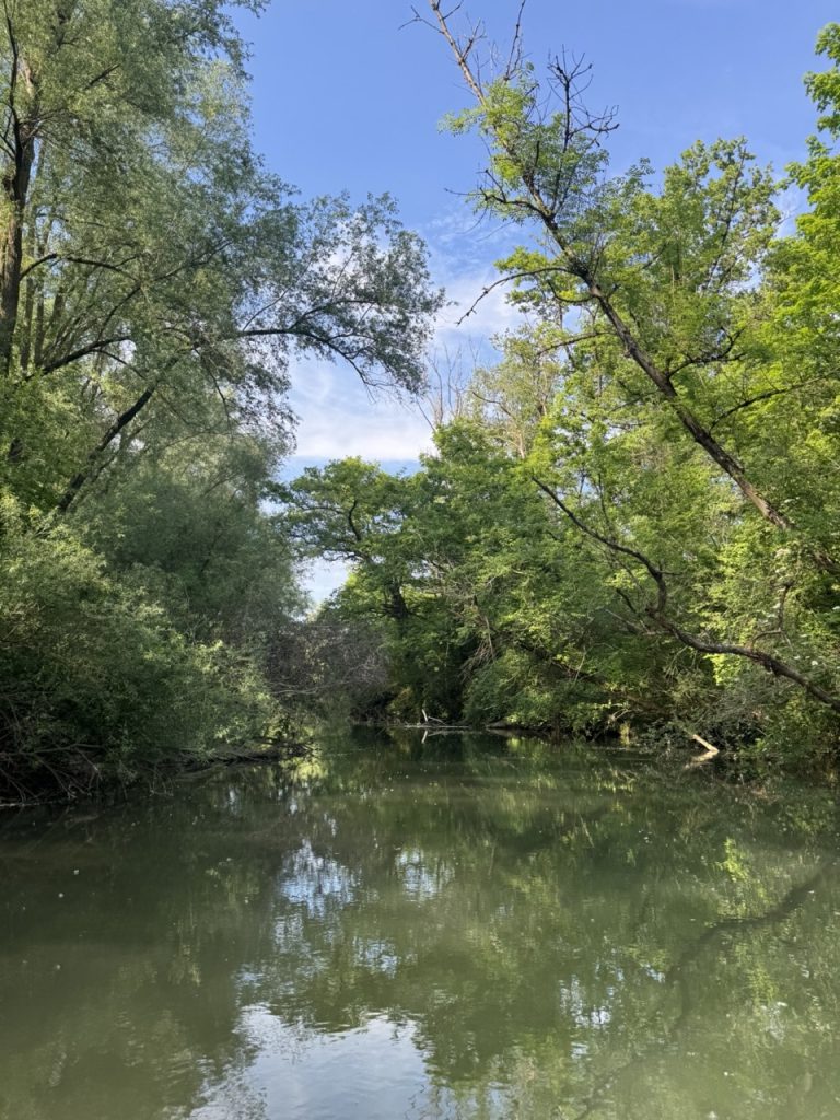 Ce que nous racontent les fleuves 