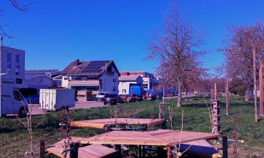 #round table: Mit Bäumen am Tisch