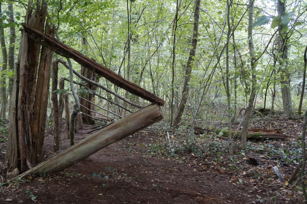 Séminaire Land Art en forêt de Brumath 