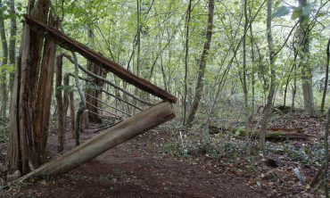 Séminaire Land Art en forêt de Brumath