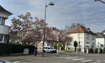 paysages  Meinau-Neuhof  à vélo