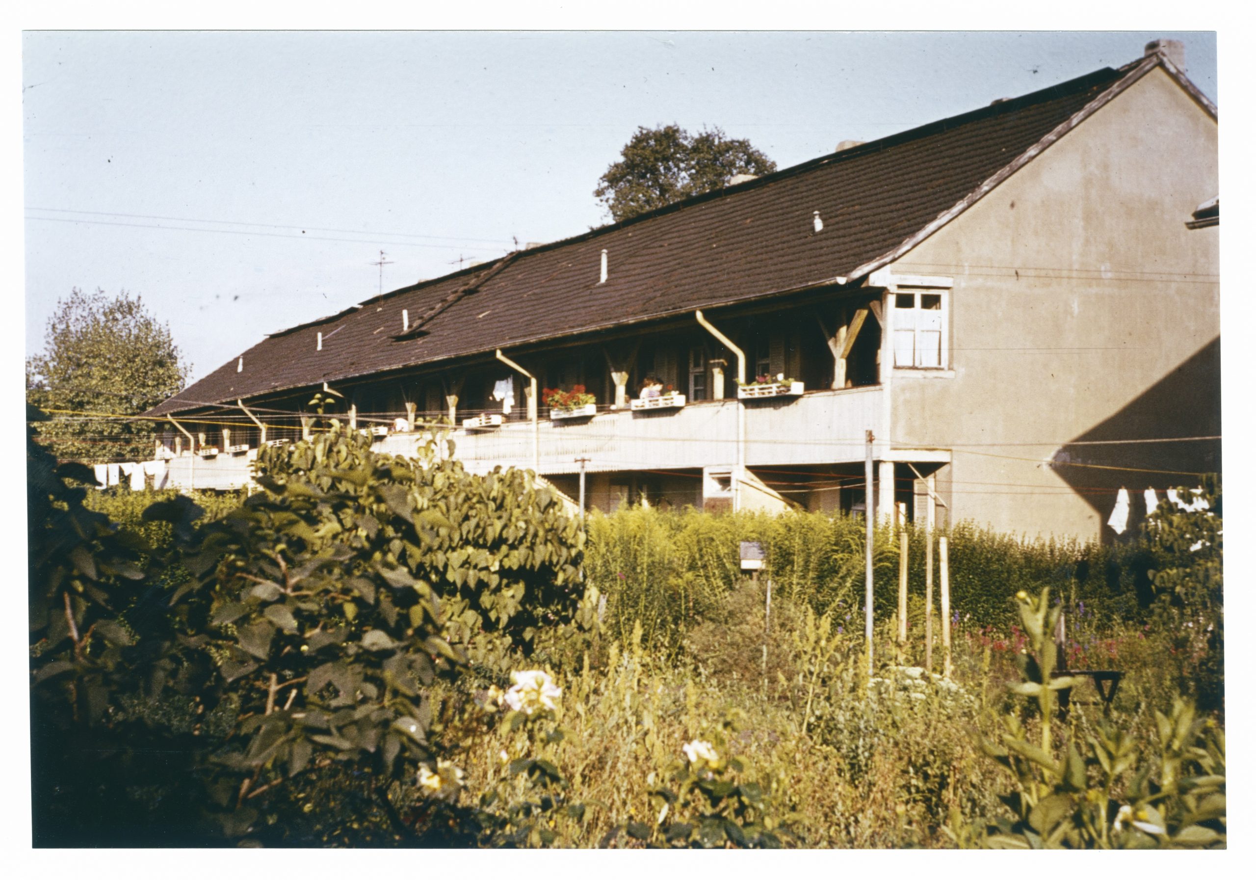 copyright_1