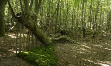 Land Art im Wald