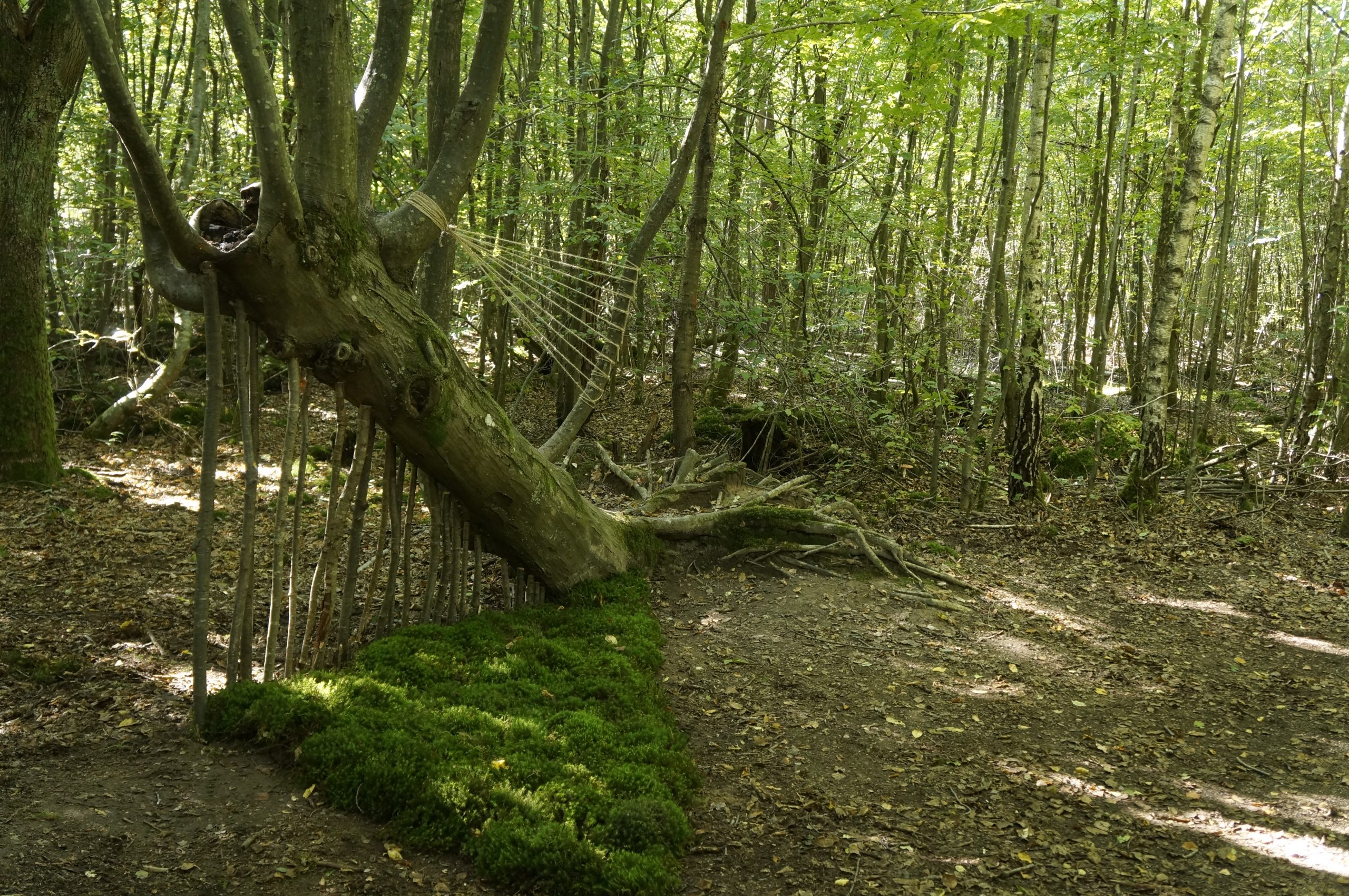 DSC5550-Copie-scaled